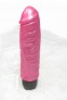 Mini Vibromasseur Dickie Rose