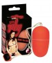 Oeuf vibrant Orange - Kitty Play