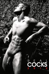 Calendrier Real Cock 2012