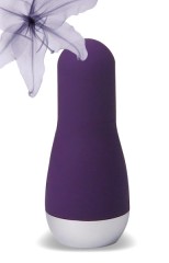 Stimulateur Discretion WideBoy Mauve