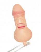 Sifflet pénis