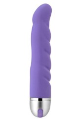 Vibromasseur Purple Passion 21 cm mauve Toy Joy