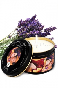 Bougie de Massage Sensation Lavande