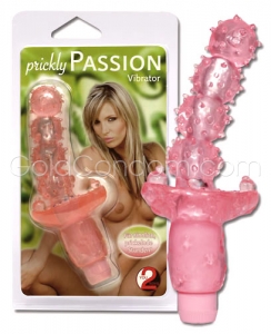 Vibro Prickly Passion 13 cm rose