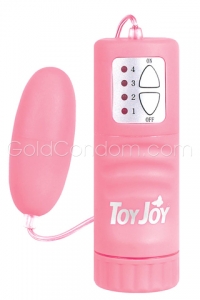 Oeuf Vibrant Rose Toy Joy