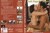 DvD - Yoga �rotique pour couples