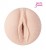 Masturbateur Fleshlight Jesse Jane - Bo�te Luxe