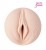 Masturbateur Riley Steele Fleshlight 