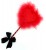 Ensemble Paddle Passion