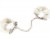 Coffret Plaisir Nacr� / Blanc