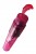 Stimulateur Clitoris Dolphin Rose