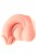 P�nis Rose Mr Limpy L