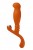 Nexus Glide Orange