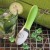Liv Lime -  Vibrator speciaal anaal stimulatie