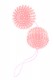 Boules de Geisha Toy Joy  rose en tendre jelly