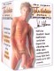 John Holmes Fantasy Doll
