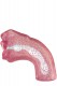 Masturbateur Deep Throat Stroker 