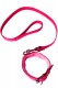 Collier et Laisse en Cuir Rose Intense